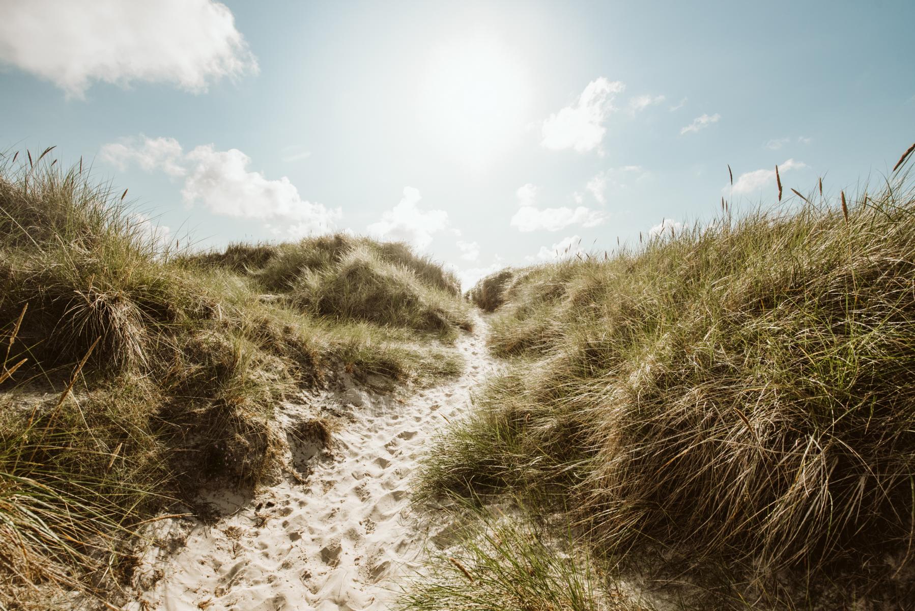 Dünen auf Sylt